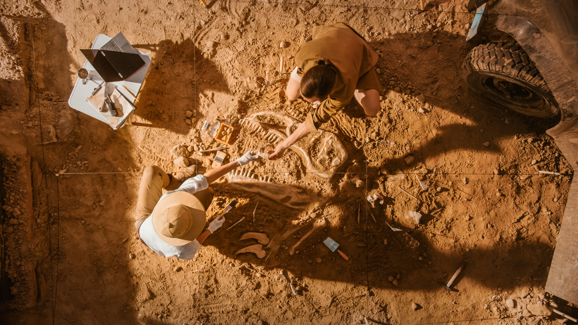 Archeology & Cultural Heritage